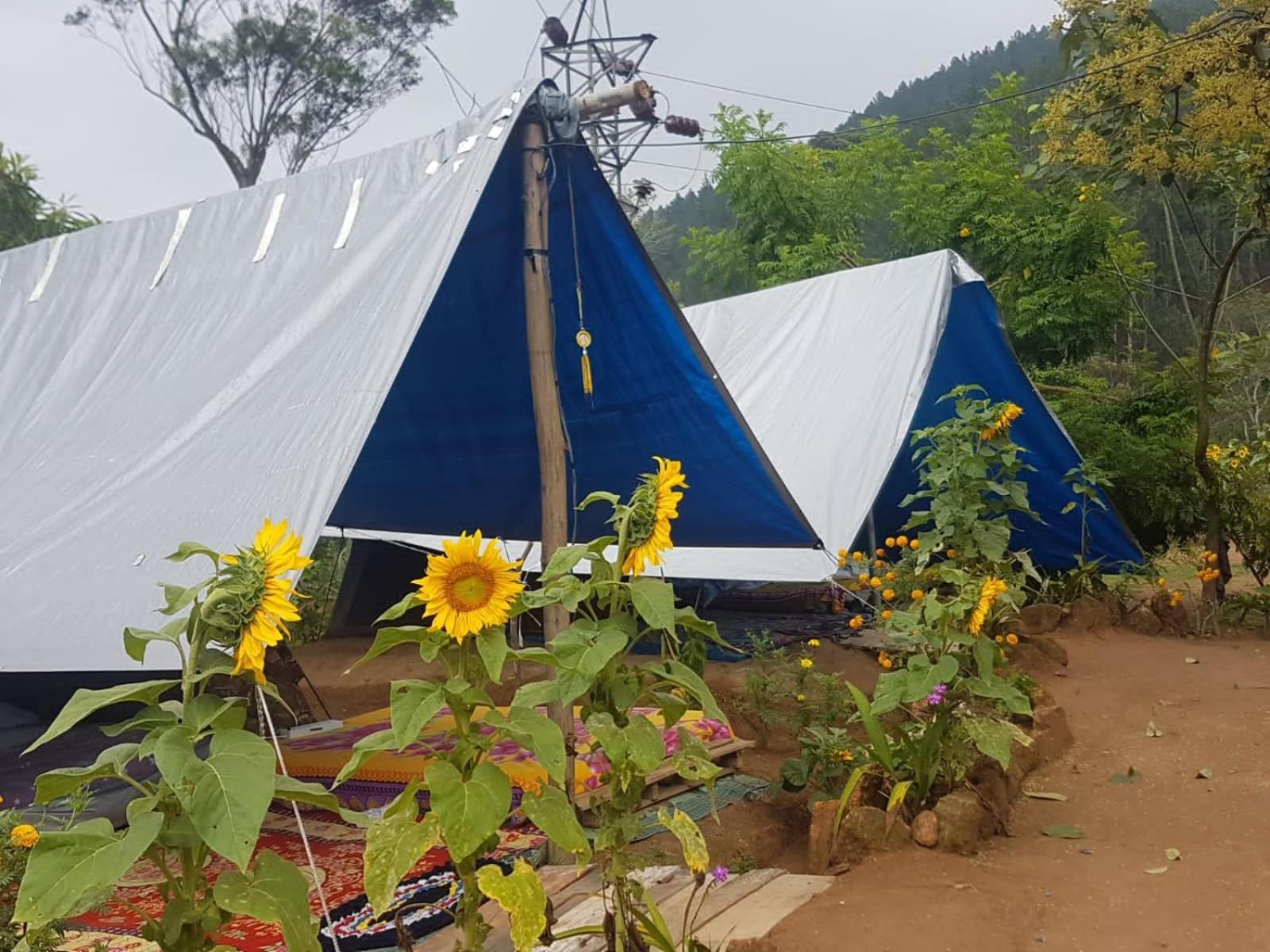 Freedom Camp Ella Hotel ห้อง รูปภาพ